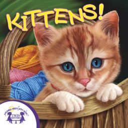 Know It Alls - Kittens
