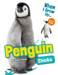 Penguin Chicks