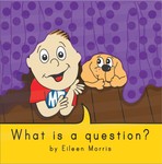 What is a question?