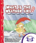 What Is The Weather Like Today