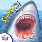 Know-It-Alls! Sharks