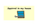 Squirrel in my house