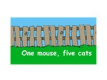 One mouse, five cats