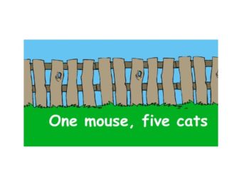 One mouse, five cats