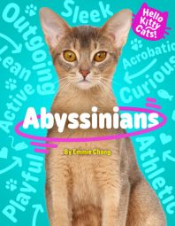 Abyssinians