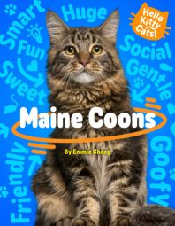 Maine Coons