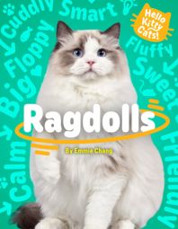 Ragdolls