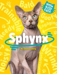 Sphynx